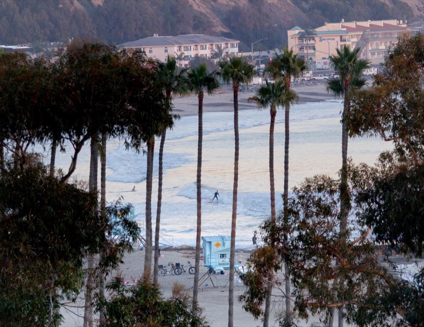 Palm trees framing a coastal Orange County beach with surfers in the water