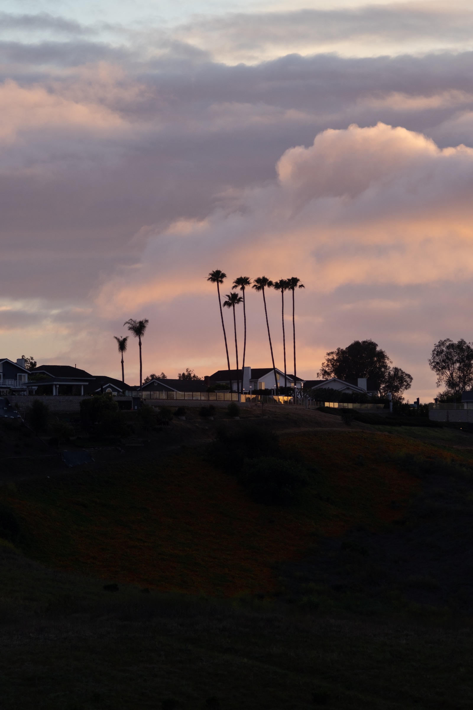 Palm trees and South Orange County homes beneath a sunset sky